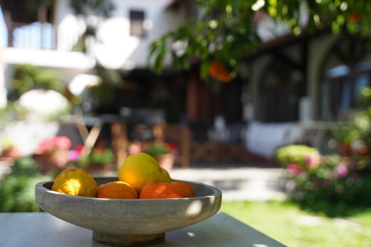 Alterra Vita Neos Marmaras Ngoại thất bức ảnh